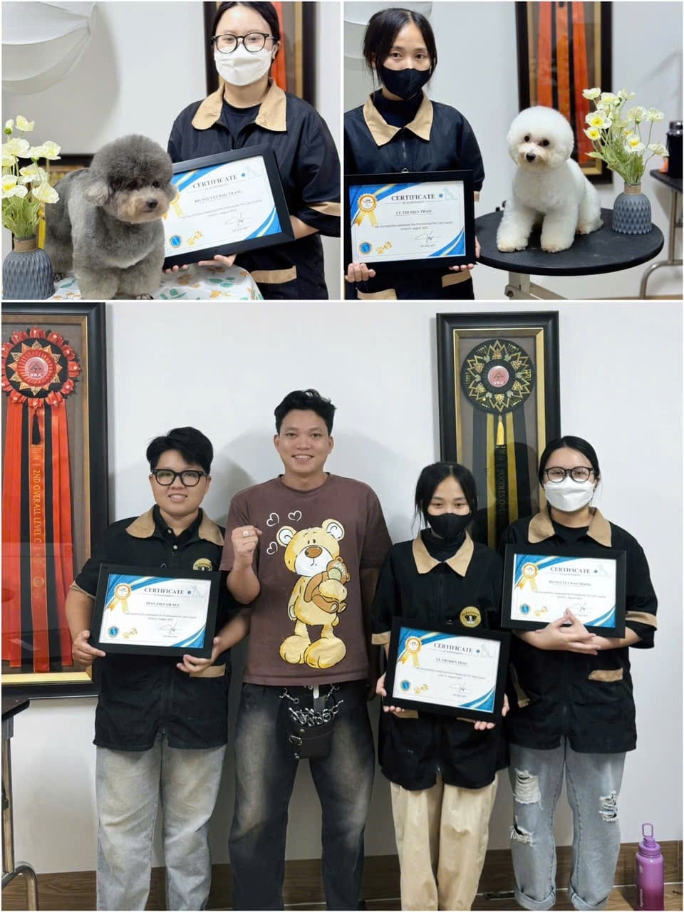 Võ Văn Việt Đào Tạo